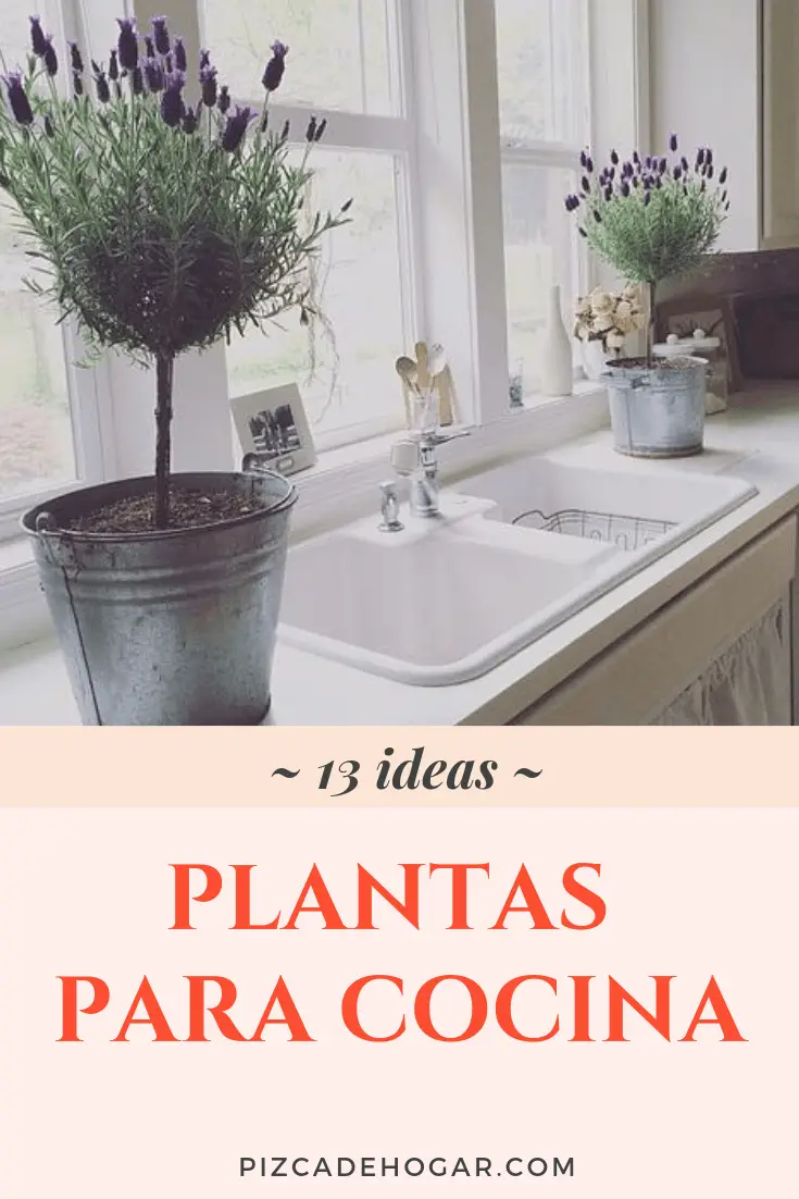 13 Plantas Ideales Para Decorar La Cocina